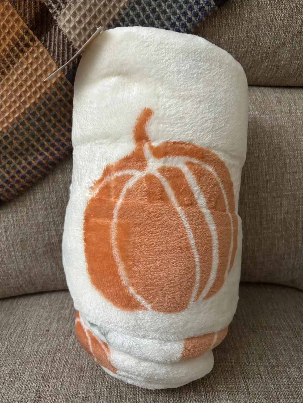 Autumn Harvest Plush Throw Blanket